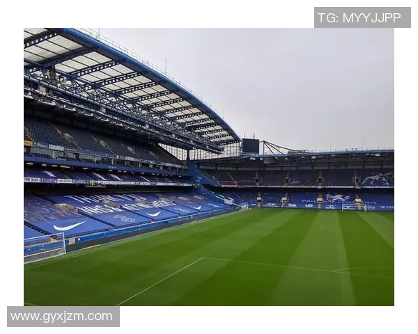 巴西足球明星的辉煌历程与绿茵场上的传奇故事