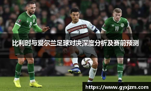 比利时与爱尔兰足球对决深度分析及赛前预测